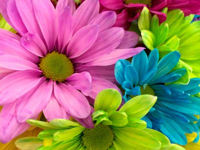 God’s little miracles.